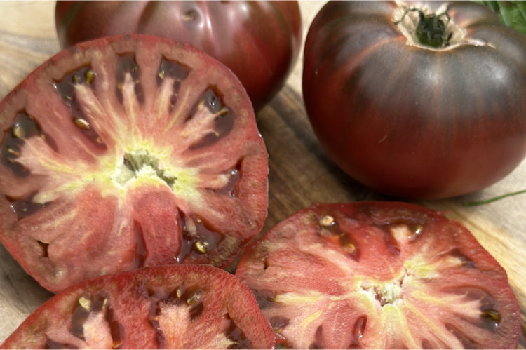 Top Picks: Best Large Tomatoes for Your Garden